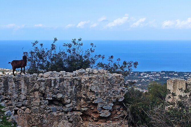 Nature Walking tour in the Mediterranean Cyprus-6days - Key highlights at a glance