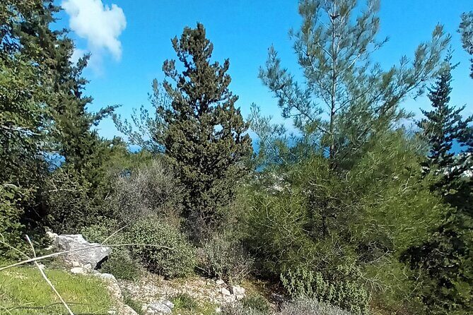 Nature Walking tour in the Mediterranean Cyprus-6days - Day 2: Karsiyaka Ridge Walk and the Sinai Monastery View