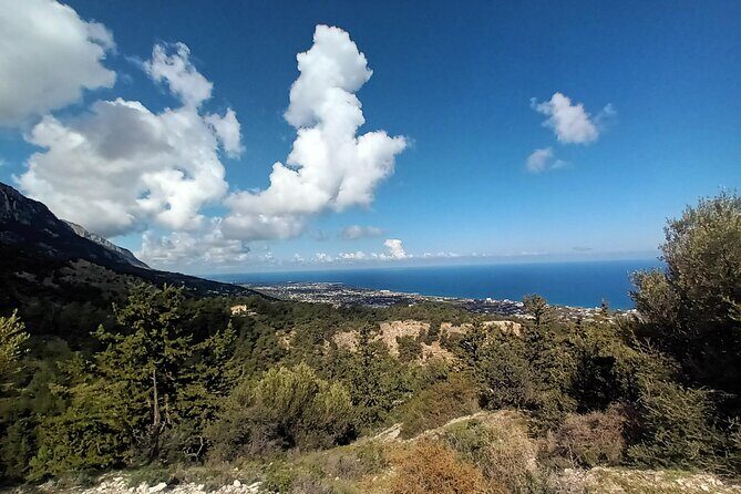 Nature Walking tour in the Mediterranean Cyprus-6days - Day 4: Bellapais Day—Abbey, Lawrence Durrell, and the Tree of Idleness