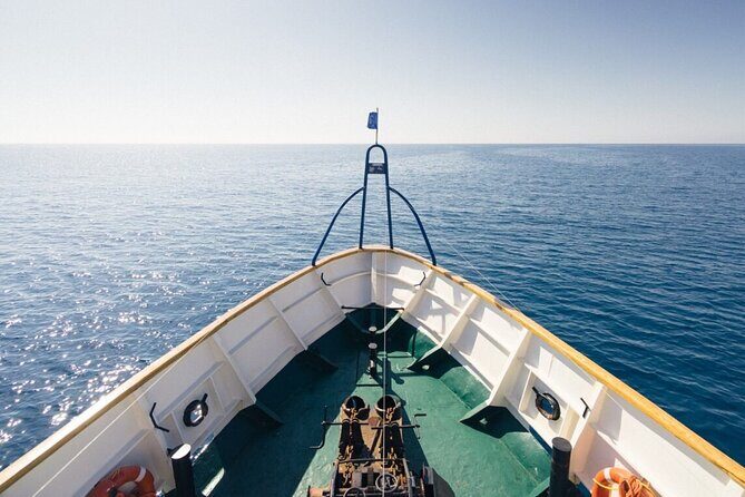 Odyssey Boat Safari from Larnaca - On-board vibe and the animation factor