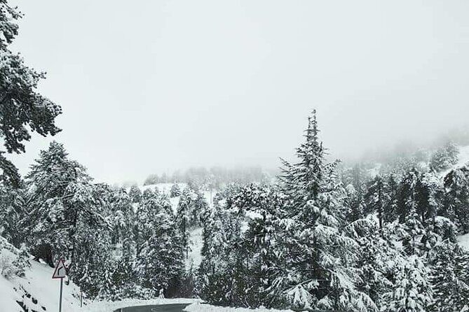 Omodos and Winiary tour, let's feel winter in Cyprus Mountain. - True Cross Monastery: relics, a museum stop, and free admission