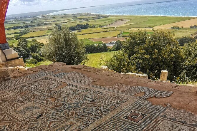 Pafos - Archaeology & Beauty tour from Limassol - Aphrodite’s Rock: coffee break by the coastline