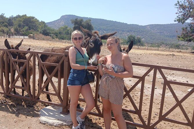 Paphos: Akamas Gorge & Turtle Bay & Donkey Farm Jeep Safari Tour - Key highlights you’ll feel right away