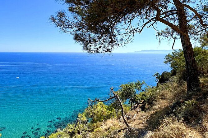 Paphos: Akamas Gorge & Turtle Bay & Donkey Farm Jeep Safari Tour - Lara Bay Turtle Conservation Station: a short stop with a real mission