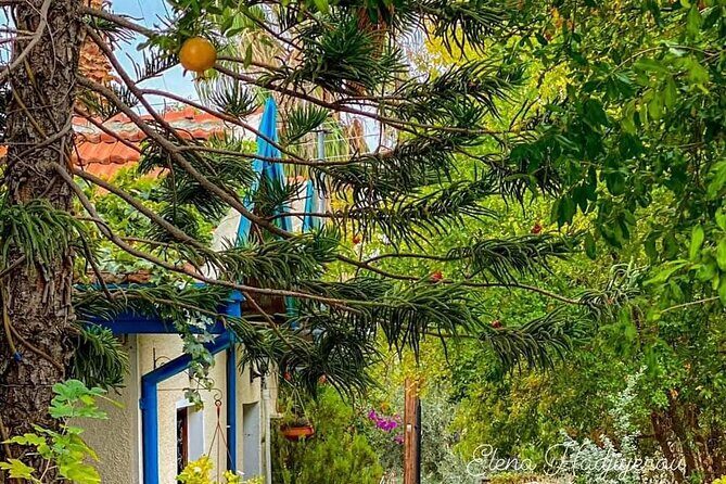 Perfect Day Trip to Beautiful Lefkara tour from Limassol. - Green Village Lefkara: The Best Hour for Walking and Eating
