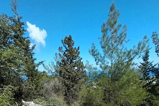 Private Day Walk in the Nature Near Kyrenia, Cyprus - Bellapais Monastery (Lusignan Abbey): Gardens, Coast Views, and Stairs With Story