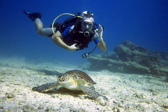 Private Discovery Dive + Photos & Videos - Key highlights from this private Protaras experience