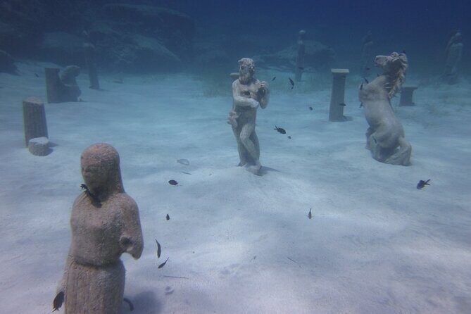 Private Discovery Dive + Photos & Videos - Safety rules beginners must take seriously