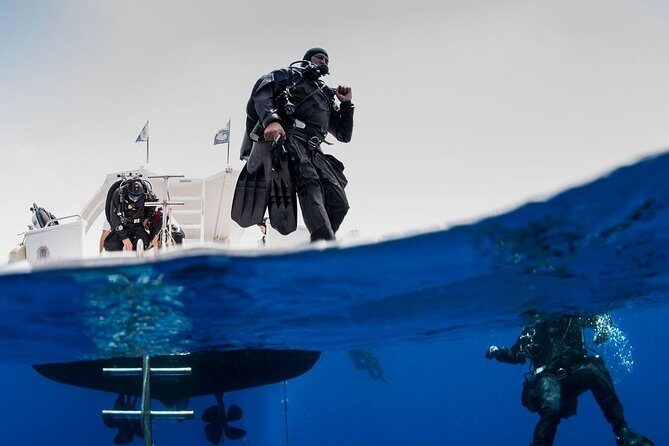 Private Diving at Zenobia Wreck in Larnaka - Key points before you go
