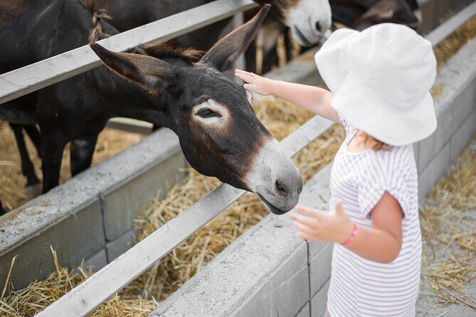 Private Full-Day Tour in Larnaca with Hotel Pick Up - Camel Park: Cyprus’s Only Camel Park (and Why You’ll Want More Time)