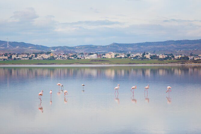 Private Full-Day Tour in Larnaca with Hotel Pick Up - Hala Sultan Tekke: Umm Haram and the Mosque-Tekke by the Water