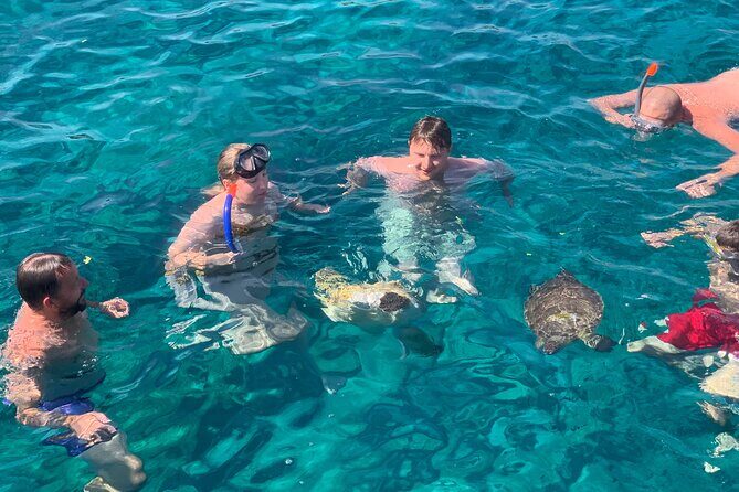 Protaras: St Georgios Presidential Cruise BBQ & 1 drink. 16+ - Swim Time With Clear Water and an Animal Bonus