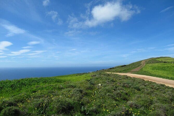 Quad or Buggy Tour from Coral Bay to Adonis Baths - Key highlights you’ll actually feel