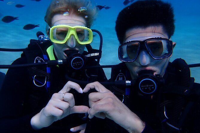 Scuba Diving Activity in Pernera - What you’ll see: fish, turtles, and that first underwater wow
