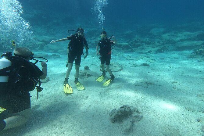 Scuba Diving Cyprus Experience Protaras and Ayia Napa & Turtles - Key Points to Know Before You Go