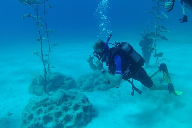 Scuba Diving Cyprus Experience Protaras and Ayia Napa & Turtles - Instructor Groups: Why You Might Not Stay Together