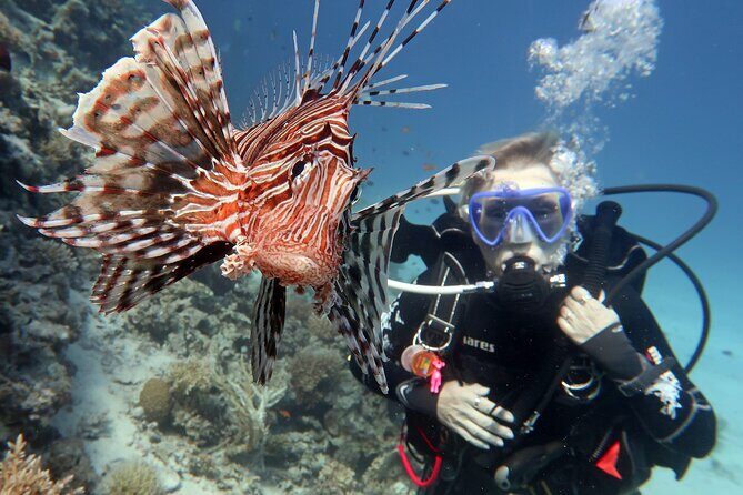Scuba Diving Experience & MUSAN Dive + Free Edited Video 2xdives - Price and Value: what $144.17 covers (and why it may be fair)