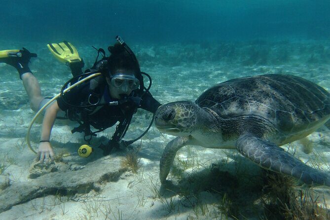 SCUBA DIVING first time experience - Key points you’ll care about before you go