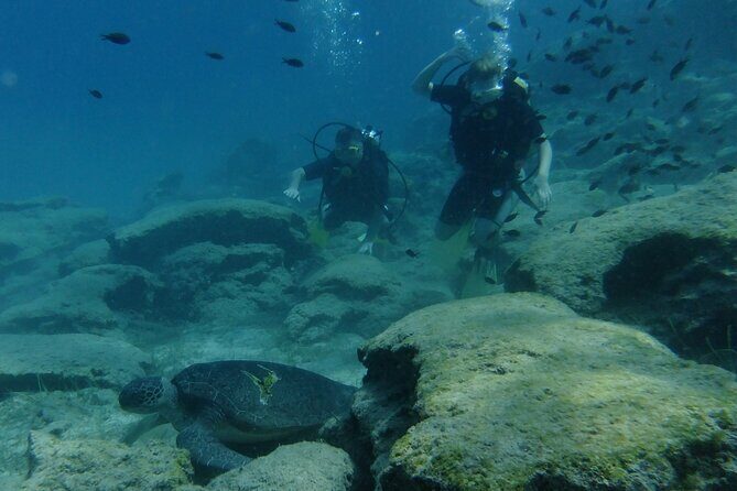 SCUBA DIVING first time experience - Why the private small group feels like the real deal