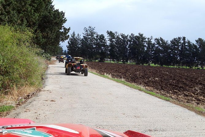 Self drive Buggy Safari at Aphrodite's Rock in Paphos - Should You Book This Buggy Safari at Aphrodite’s Rock?