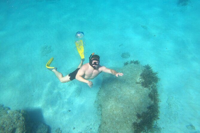 snorkeling ,Turtle Watching in Cyprus - From Tombs of the Kings to a Turtle Bay: How the Morning Sets Up