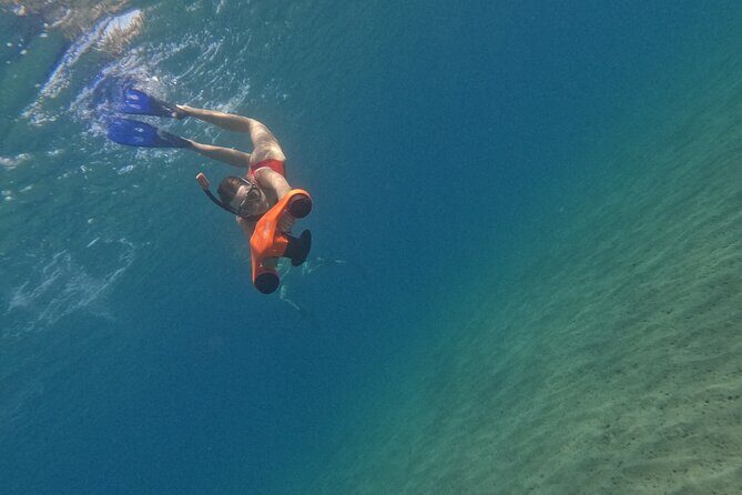 snorkeling ,Turtle Watching in Cyprus - Guides Who Make It Work: The Human Touch (Nicholas, Chris, Stelios, Andreas)