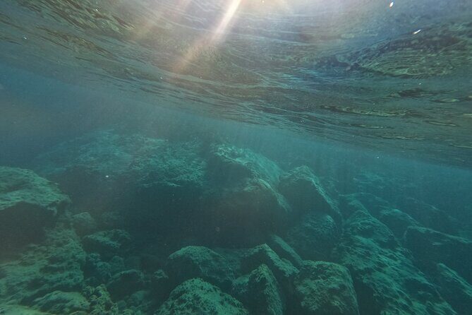 snorkeling ,Turtle Watching in Cyprus - Included Perks: Photos, Fruit, Water, and the Waterpark Discount