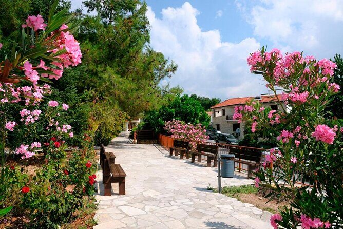 Troodos Mountains Grape Escape: All Inclusive Food & Wine Tour - Key moments that make this tour worth your time