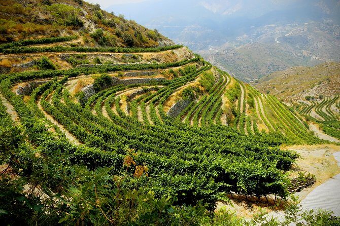 Troodos Mountains Grape Escape: All Inclusive Food & Wine Tour - Timios Stavros Monastery and the Struggle Museum: history breaks that don’t drag