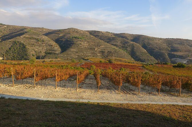 Troodos Mountains Grape Escape: All Inclusive Food & Wine Tour - The surprise bonus stop: the part that keeps the day from feeling scripted