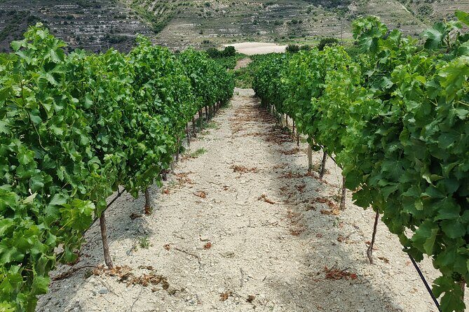 Troodos Mountains Grape Escape: All Inclusive Food & Wine Tour - Price and value: what $127.92 buys you beyond tastings