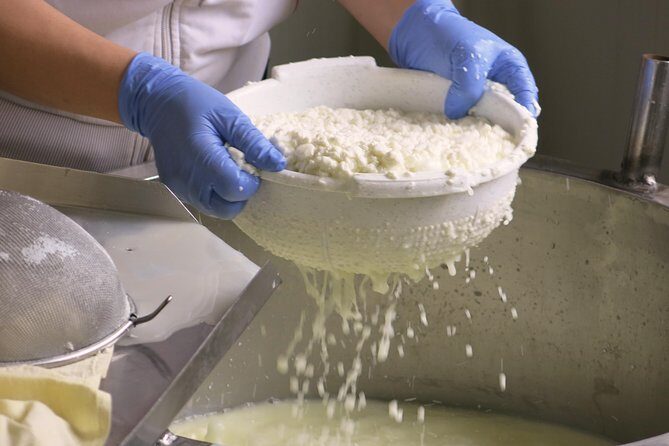 Troodos Mountains Halloumi Making: All Inclusive Workshop & Tour - Pickup at 9:00 and door-to-door logistics (without the stress)