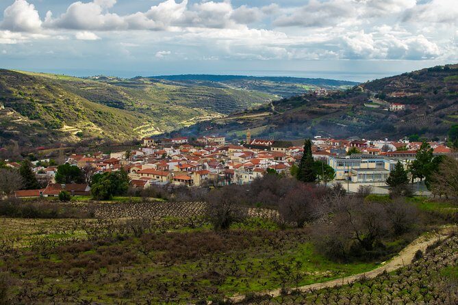 Troodos Mountains Villages: All Inclusive Food & Wine Day Tour - Tsangarides Winery tour: modern wine and organic focus