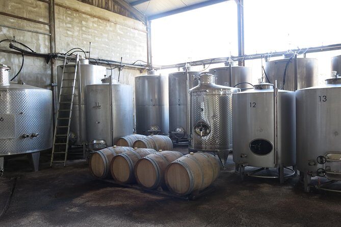 Troodos Mountains Vino Venture: All Inclusive Full Day Wine Tour - Omodos village stop: craft browsing plus a proper meze lunch
