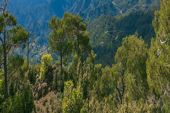 Troodos Peaks & Mountain Flavors Day Tour from Paphos - Who should take this Troodos peaks tour?