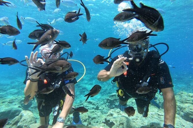 Try a Scuba Diving Experience - The shallow-water practice: breathing and control before you go deeper