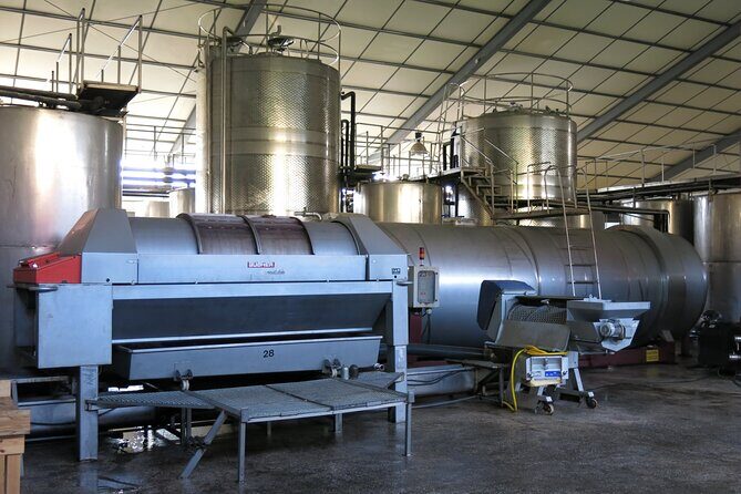 Wine tasting and winery tour at Fikardos Winery - The winery walk: barrel room, winemaking, and bottling/labeling